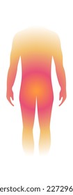 Human body silhouette gradient aura energy  the white isolated background  