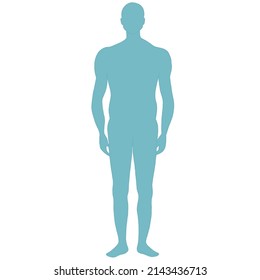 Human Body Structure On White Background Stock Illustration 2143436713 ...