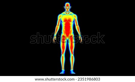 Human body temperature Warm, normal cold. Man thermographic illustration 3D
