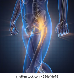 Human Bones Radiography Scan Image