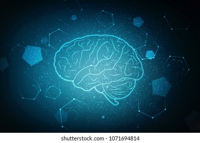 Human Brain 2d Illustration