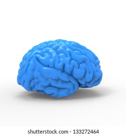 Human Brain 3D Model, Isolated