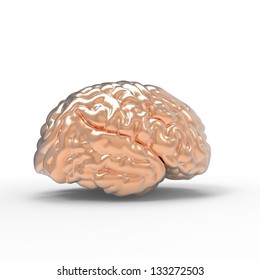 Human Brain 3D Model, Isolated