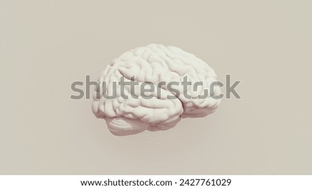 Human brain anatomy intelligence mind neutral background soft tones beige brown 3d illustration render digital rendering	