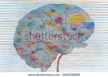 The human brain is characterised by voluminous cerebrum. The brain stem controls the heart and lung breathing. The brain lies in the head