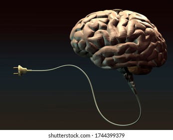 Nervous System Functionality Stock Illustration 268357172 | Shutterstock