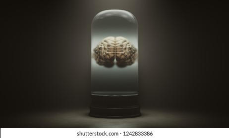 Human Brain Floating In A Liquid In A Bell Jar With A Dark Foggy Background 3d Illustration 3d Render