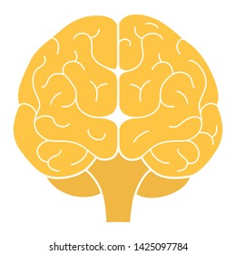 Human Brain Front View. Flat Design