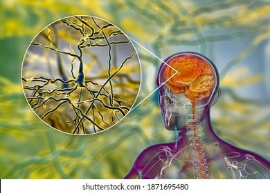 Human brain inside the body with closeup view of neurons, brain cells, 3D illustration