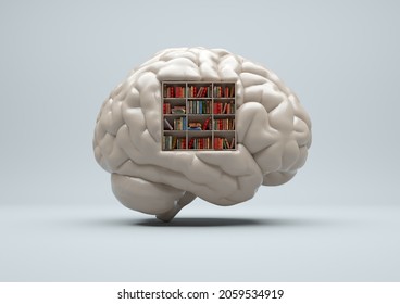 Human Brain With A Library Inside And Books. Mind Training And Self Development Concept.  This Is A 3d Render Illustration