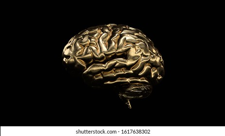 Human brain made of gold isolated. 3D illustration