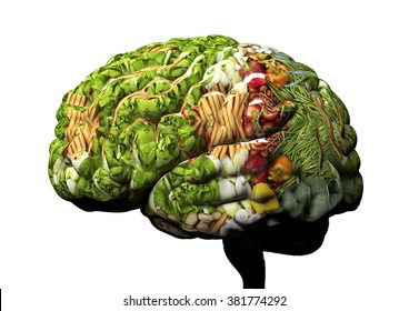 human brain made out of fruit and vegetables..