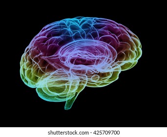 Human Brain Multi Color. 3D Illustration