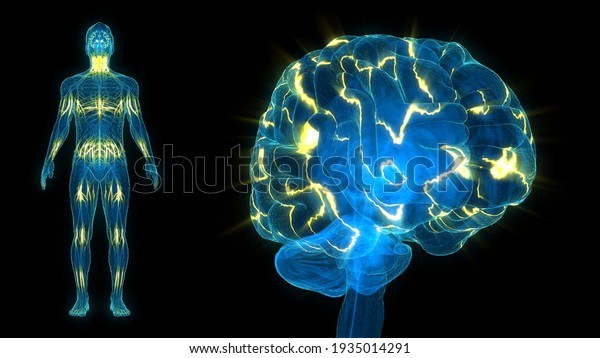 Human Brain with\
Nerve signals 3D\
illustration