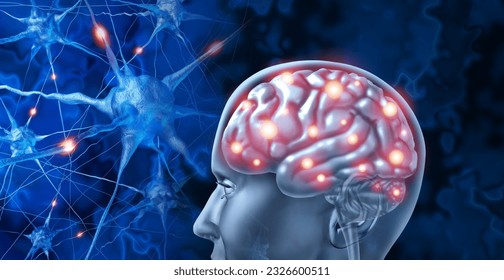 Human brain Neurology and cognitive nerve endings as anatomical medical symbol of a head with neurons as neurological function related to memory and mental health function with 3D illustration.