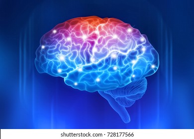 Human brain on a blue background. Active parts of the brain. Digital illustration