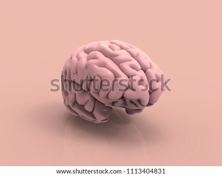 Human Brain Pastel 3D Render