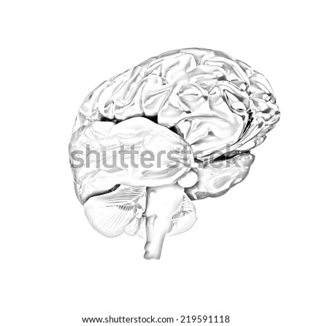 Royalty Free Stock Illustration Of Human Brain Pencil Drawing Stock