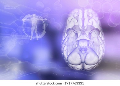 Human Brain, Physiology Study Concept - Very Detailed Electronic Background Or Texture, Medical 3D Illustration