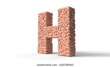 Human Brain In Shape Of Letter H. Suitable For Brain, Biology, Medicine, Science And Font Themes. 3D Illustration