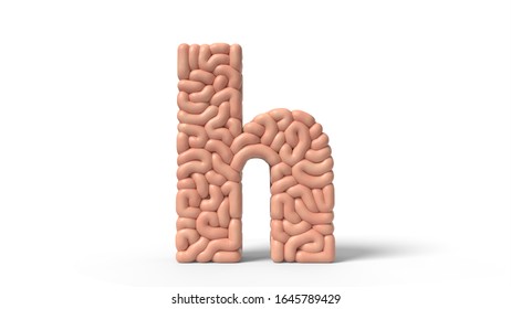 Human Brain In Shape Of Letter H. Suitable For Brain, Biology, Medicine, Science And Font Themes. 3D Illustration