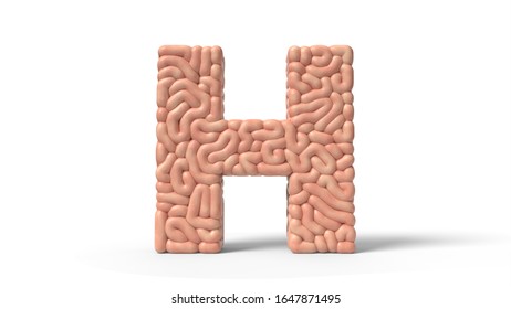 Human Brain In Shape Of Letter H. Suitable For Brain, Biology, Medicine, Science And Font Themes. 3D Illustration