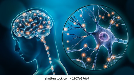 Human Brain Stimulation Or Activity With Neuron Close-up 3D Rendering Illustration. Neurology, Cognition, Neuronal Network, Psychology, Neuroscience Scientific Concepts.