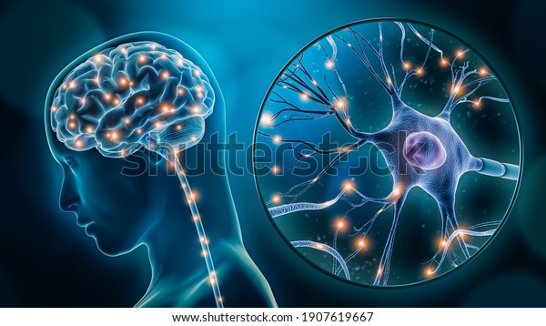 Human brain stimulation\
or activity with neuron close-up 3D rendering illustration.\
Neurology, cognition, neuronal network, psychology, neuroscience\
scientific\
concepts.