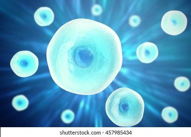 Human Cell Animal Cell Science Background Stock Illustration 457985434 ...