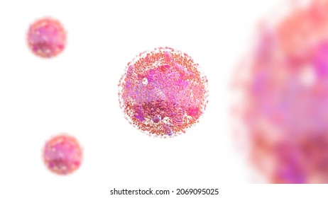 Human Cell Components Of An Eukaryotic Cell, Nucleus And Organelles And Plasma Membrane Golgi, Mitochondria,   Smooth ER, Rough ER, Lysosome, Endosome,  3d Rendering