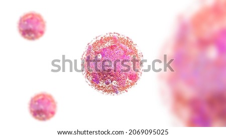 human cell components of an eukaryotic cell, nucleus and organelles and plasma membrane Golgi, mitochondria,   smooth ER, rough ER, lysosome, endosome,  3d rendering