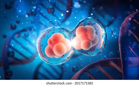Human Cell Division under a microscope. Cellular Therapy. 3d illustration science and medical background.