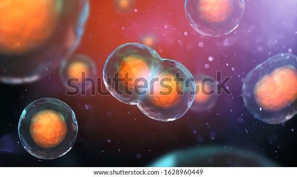 Human cell division under the microscope.\
Mitosis cells close up. 3d\
illustration
