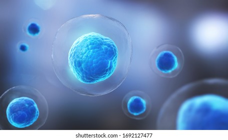 Human Cell Or Embryonic Stem Cell Microscope Background.3d Illustration.