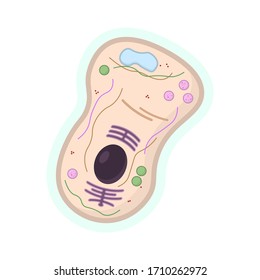 Human Cell Icon. Isolated Illustration On A White Background.