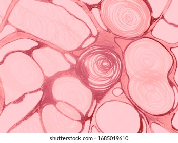 Human Cell. Network Spiral Texture. Crayon Neuron Cell Art. Pen Ornate Pattern. Geometric Fractal Print. Blurred Blood System Vessel Art. Stylish Picture. Abstract Swirled Artwork.