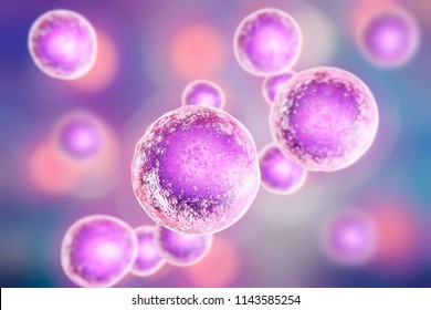 Human Cells On Colorful Background, 3D Illustration