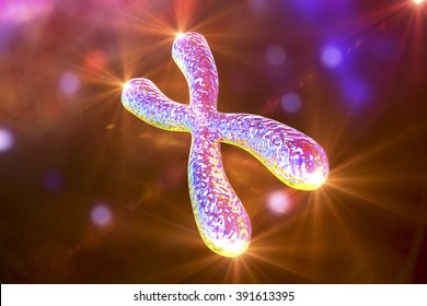 Human chromosome with shining telomeres