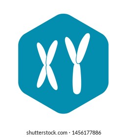 Human Chromosomes Icon. Simple Illustration Of Human Chromosomes Icon For Web