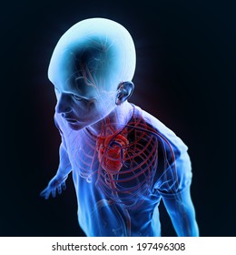 Human circulatory system - medical illustration