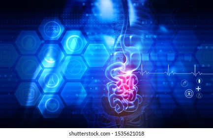 Human Digestive System Anatomy On Abstract Scientific Background	