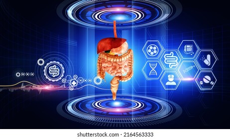 Human Digestive System Virtual Reality 3D Rendering
A Virtual Reality 3d Graphics Showing Rotating Human  Digestive System Model With Medical Icons On Surrounding