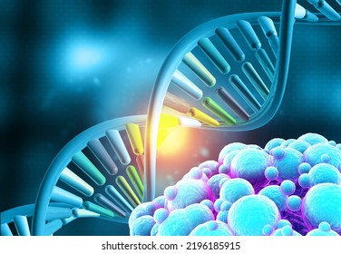 Human DNA Strand. 3d Illustration	