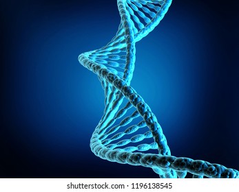 Human Dna Structure 3d Render Stock Illustration 1196138545 | Shutterstock