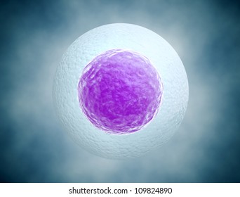 Human Egg Cell Background