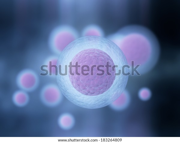 Human egg cells high \
resolution image 