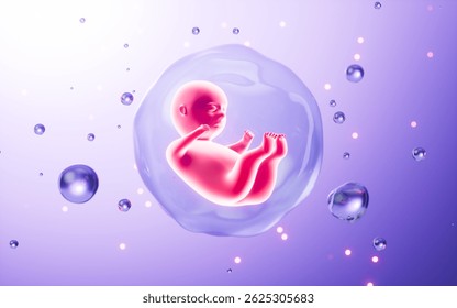 Human embryo model, 3d rendering. 3d illustration.