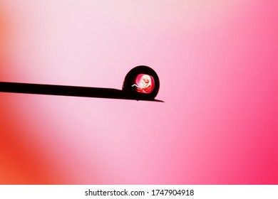 A Human Embryo On The Tip Of A Needle. Artificial Insemination.