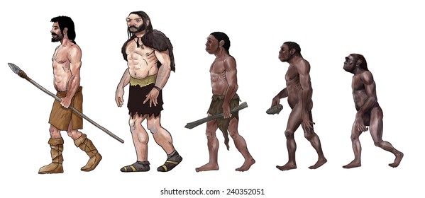 Human Evolution