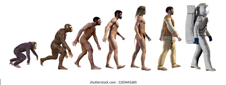 Human Evolution, From Ape To Space, 3d Illustration